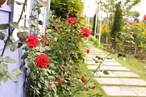 Vợ không thích giữ tiền