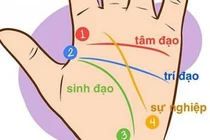 6 tướng tay người tuổi trẻ vất vả, trung vận thành công vô cùng