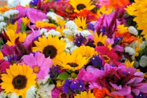 10 ngày đầu tháng 6, 3 con giáp nhận vận may bất ngờ