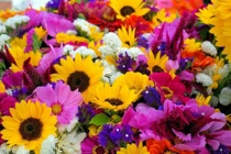 10 ngày đầu tháng 6, 3 con giáp nhận vận may bất ngờ