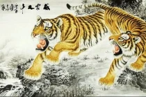 Năm Nhâm Dần muốn treo tranh hổ cần lưu ý 5 nguyên tắc