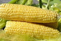 Loại tinh bột ăn thoải mái mà không gây tăng cân