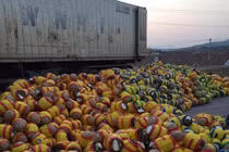 Loại thịt lợn đắt nhất thế giới đổ bộ về chợ Việt