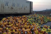 Loại thịt lợn đắt nhất thế giới đổ bộ về chợ Việt