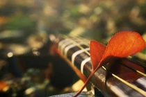 Đến nhà bạn trai thấy nhà to, đất rộng tôi vội vàng cưới