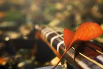 Đến nhà bạn trai thấy nhà to, đất rộng tôi vội vàng cưới