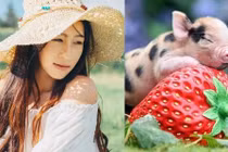 Con giáp nữ hạnh phúc nhất sau khi kết hôn