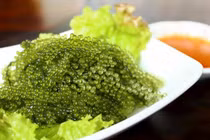 Loại rau của nhà giàu được bán tràn lan với giá siêu rẻ