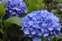 Tháng 10 Âm lịch sang, 3 con giáp nhận lộc trời ban