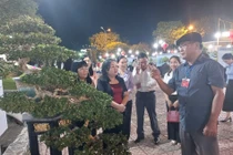 Phú Yên: Hội sinh vật cảnh tổ chức Triển lãm sinh vật cảnh