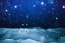 Nữ nhiếp ảnh đam mê chụp những luồng sáng bí ẩn