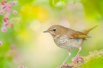 Ai sinh tháng Âm lịch này sự nghiệp thăng trầm, cần nhiều nỗ lực