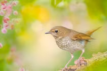 Ai sinh tháng Âm lịch này sự nghiệp thăng trầm, cần nhiều nỗ lực