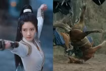 Phim của Triệu Lộ Tư dính nghi vấn ngược đãi động vật