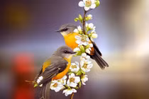 Tháng 4 may mắn, người sinh tháng Âm này liên tiếp đón mưa vàng gió bạc