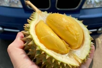 Sầu riêng tí hon Thái Lan đổ bộ chợ Việt