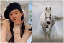 Đức năng thắng số: 4 tuổi giàu kếch sù trong năm 2023