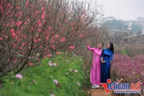 Giờ đẹp, hướng tốt xuất hành mùng 1 tết Quý Mão