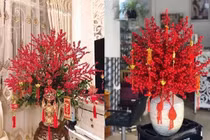 Trồng 3 cây phát lộc trong phòng khách