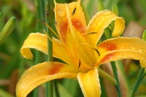 Bước sang tháng 2, tiền sẽ ùn ùn kéo đến với những chòm sao này