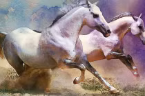 3 con giáp trời sinh số sướng, từ tuổi 30 tha hồ giàu có 