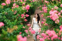 Ngắm nhìn bộ ảnh thiếu nữ đầy sức sống của nhiếp ảnh gia Lưu Đức Dũng