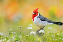 Sinh tháng Âm lịch này không bon chen, sống an nhàn