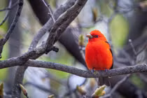 Người sinh tháng Âm lịch này bắt đầu hành trình mới thuận buồm xuôi gió