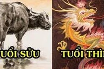 Tử vi tuần mới từ ngày 14-20/3/2022 của 12 con giáp