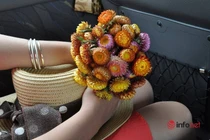 Em gái ly hôn vẫn mang bầu thêm 2 lần với chồng cũ