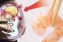 Bà bầu ăn tôm rất tốt nhưng cần phải nhớ điều này