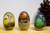 Dân Việt chịu chi hơn nửa triệu đồng chỉ để mua một quả trứng giả 