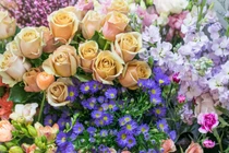 5 ngày tới đây, 3 con giáp vượt mọi khó khăn, chuyển bại thành thắng