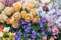 5 ngày tới đây, 3 con giáp vượt mọi khó khăn, chuyển bại thành thắng