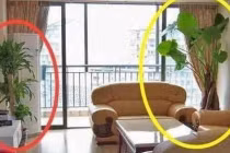 Nhà có 3 thứ này buồn cảnh báo phong thủy xấu