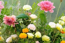 Mở cửa đón Thần Tài, 3 con giáp có tài lộc khởi sắc đầu tháng 4/2022