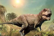 Nghiên cứu mới phát hiện sự thật bất ngờ về khủng long bạo chúa