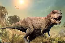 Nghiên cứu mới phát hiện sự thật bất ngờ về khủng long bạo chúa