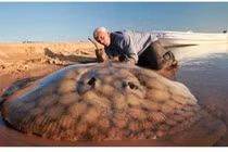 Nếu tất cả cát trong sa mạc bị khoét rỗng, thứ gì sẽ xuất hiện bên dưới?