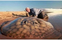 Nếu tất cả cát trong sa mạc bị khoét rỗng, thứ gì sẽ xuất hiện bên dưới?