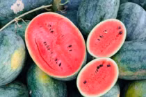 6 loại trái cây thuần Việt, chị em thoải mái mua