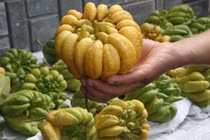 Mẹo chọn phật thủ bày mâm ngũ quả để cả năm phát lộc