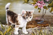 4 con giáp Thần Phật che chở, hóa hung thành cát, viên mãn cả đời