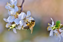 Năm 2022, 3 con giáp thiếu tình thừa tiền, càng cuối năm càng giàu sụ 