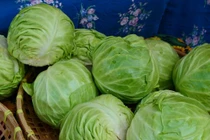 Khi mua bắp cải, nên chọn cái nặng hay nhẹ, chắc hay lỏng lẻo?