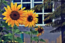 Những người sinh ngày này, sinh ra đã có 'chìa khóa vàng' 