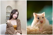 Trời sinh 4 tuổi 'nói một hiểu mười', được sếp yêu bạn mến