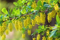 Người sinh tháng Âm lịch này sống siêng năng, nhận nhiều phúc