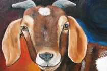 Top 3 con giáp quá ưu tú xuất chúng nên thường bị đố kỵ