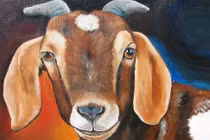 Top 3 con giáp quá ưu tú xuất chúng nên thường bị đố kỵ